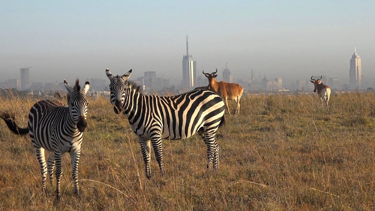 nairobi
