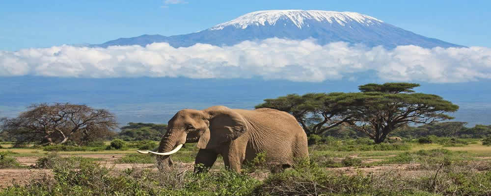 Amboseli Lodge Safari