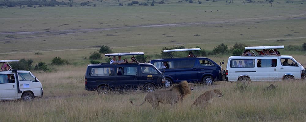 Best Kenya Budget Safari