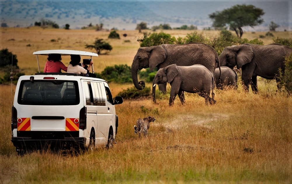 Kenya Camping Safari Packages