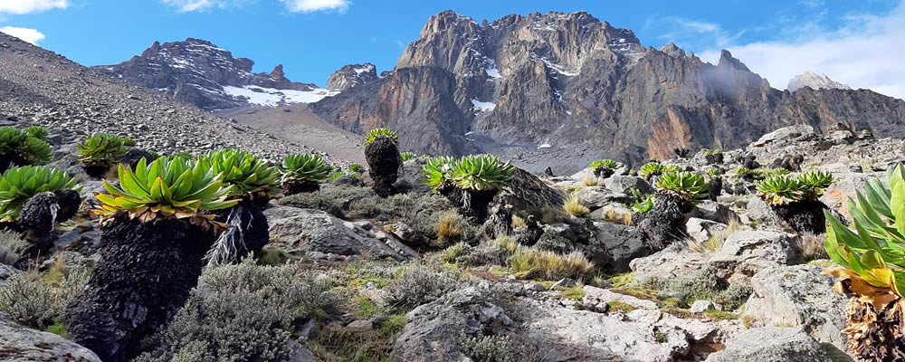 Trekking Mount Kenya